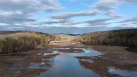 Photo shows the Chesapeake Bay, with brown material covering parts of the water. In the background is grass along the shore and a cloudy sky.