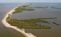 Louisiana_Coastline_900x550.jpg