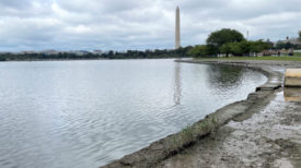 Potomac_seawall_ENRweb.jpg