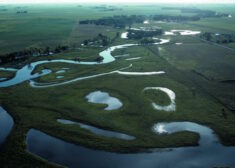 WOTUS Wetlands