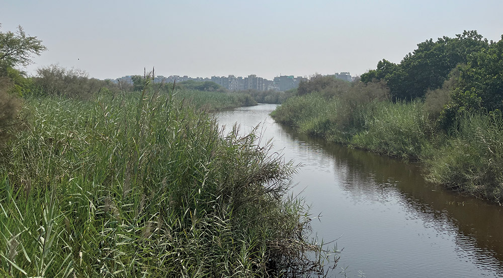 The Yamuna Biological Diversity Park