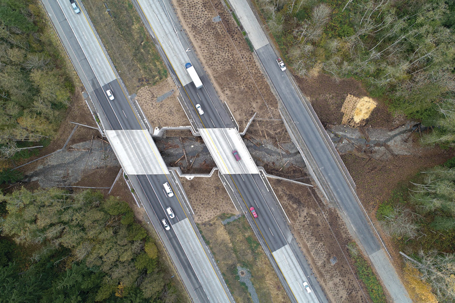 I-5 & SR 11, Padden Creek Fish Passage Design Build Project