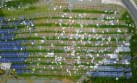 Solar farm