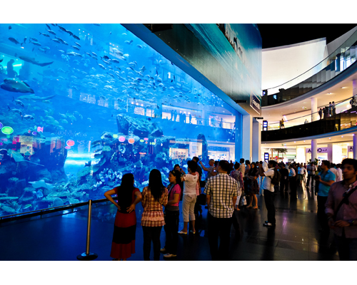 10 Best Aquariums in the US